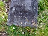 image of grave number 531435